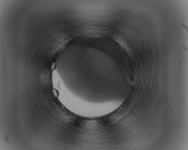 X0000091890411200709191221