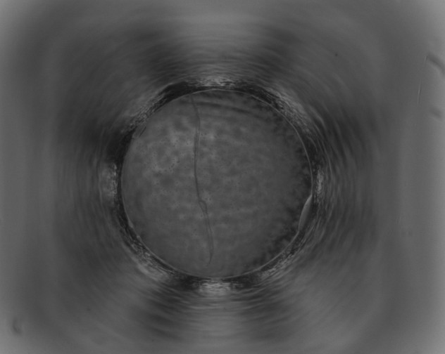 X0000091890413200709191221