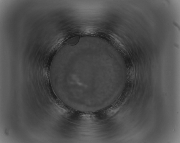 X0000091890415200709191221