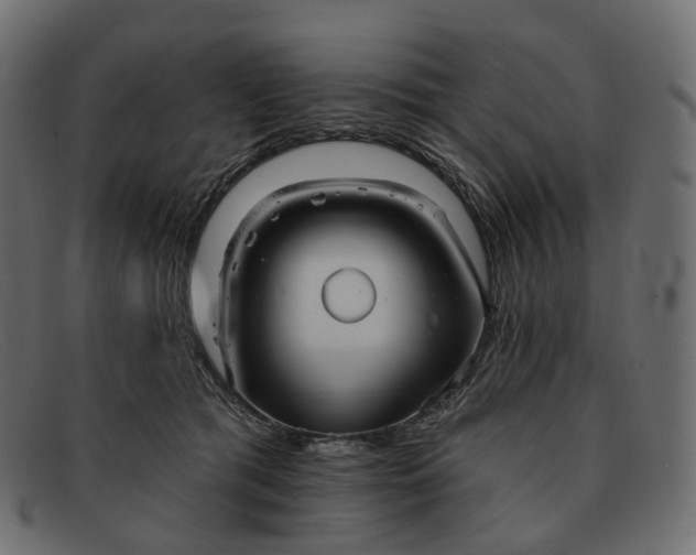 X0000091890417200709191221