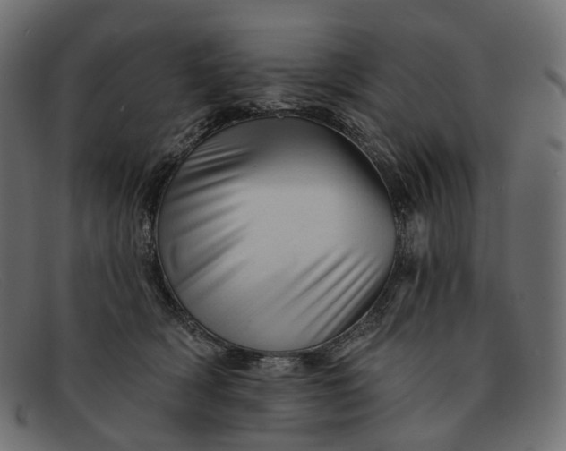 X0000091890418200709191221