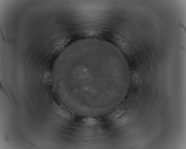 X0000091890419200709191221