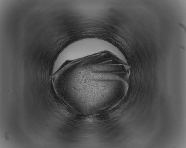 X0000091890420200709191221