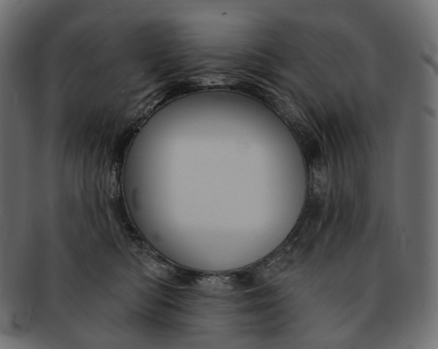 X0000091890422200709191221