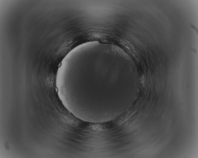 X0000091890423200709191221