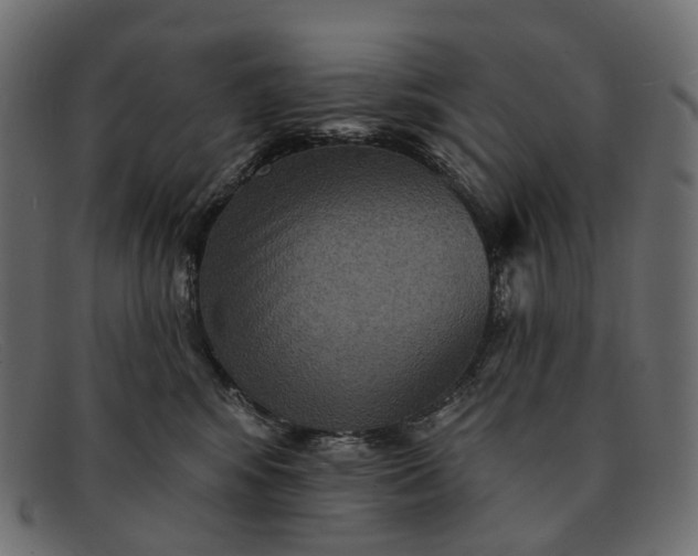 X0000091890424200709191221