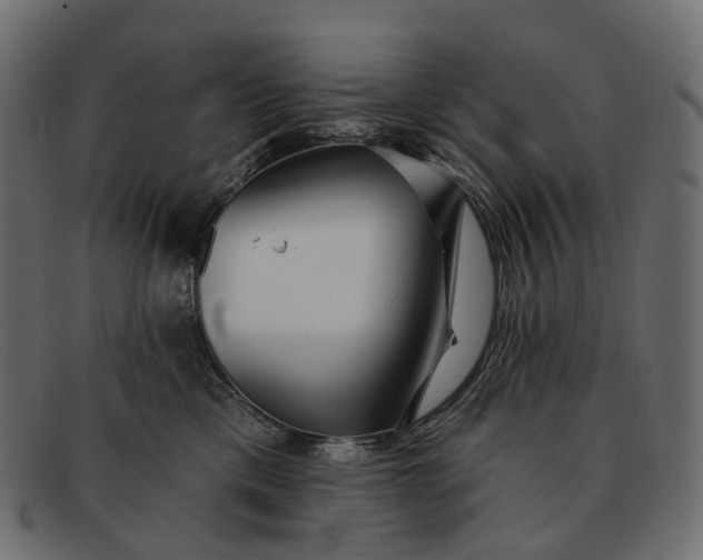 X0000091890425200709191221