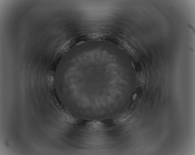 X0000091890427200709191221
