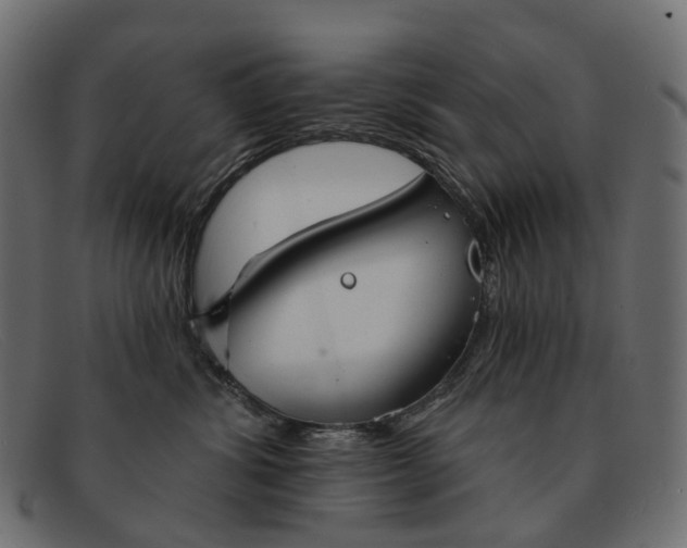 X0000091890428200709191221