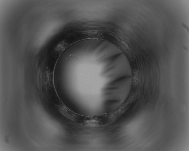 X0000091890430200709191221