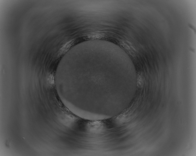 X0000091890431200709191221
