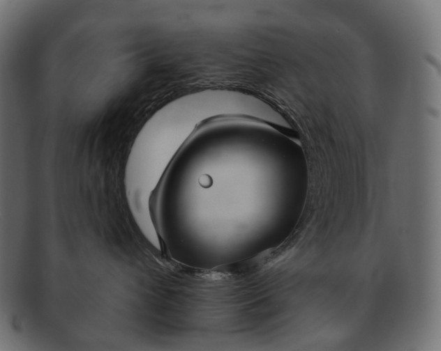 X0000091890432200709191221