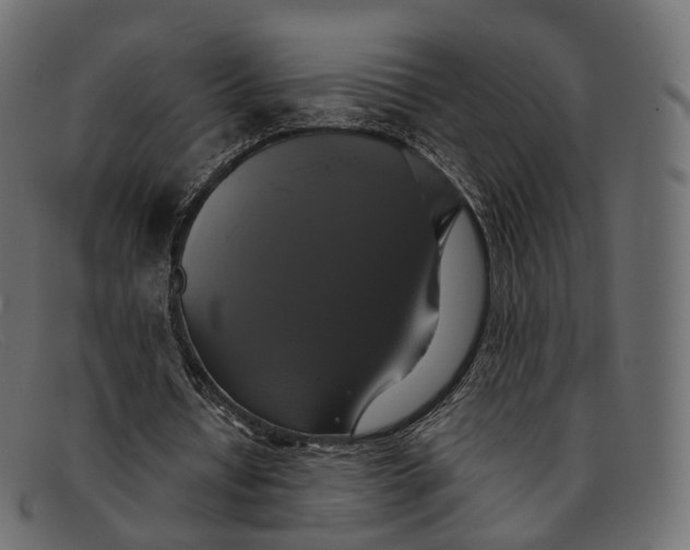 X0000091890434200709191220