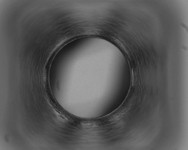 X0000091890435200709191220