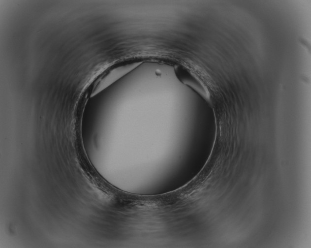 X0000091890436200709191220
