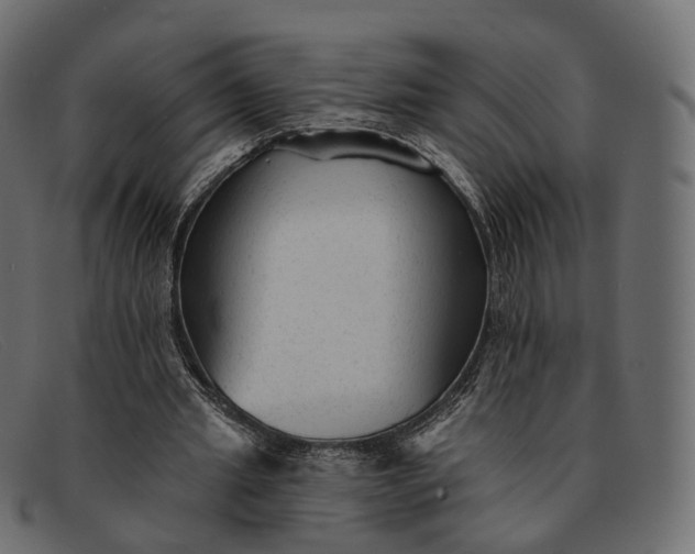 X0000091890437200709191220