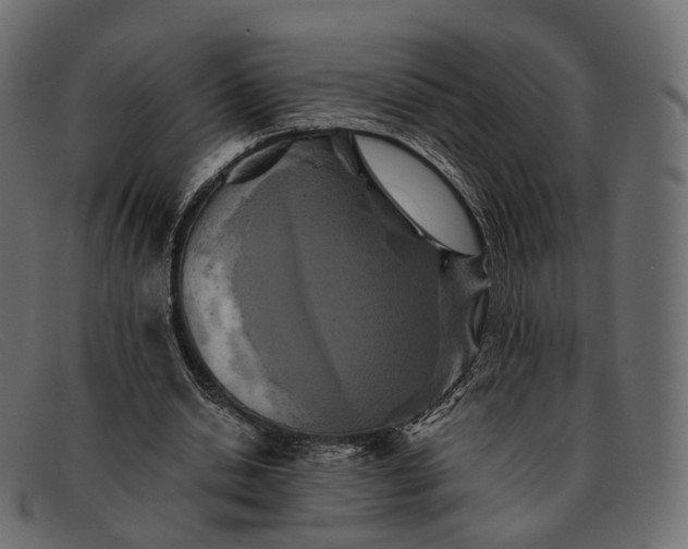 X0000091890438200709191220