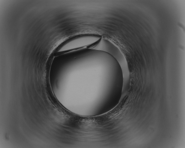 X0000091890440200709191221