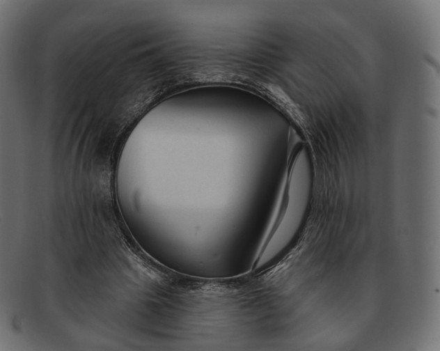 X0000091890441200709191221