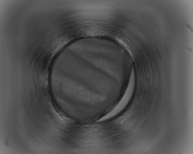 X0000091890443200709191221