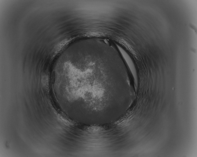 X0000091890444200709191221