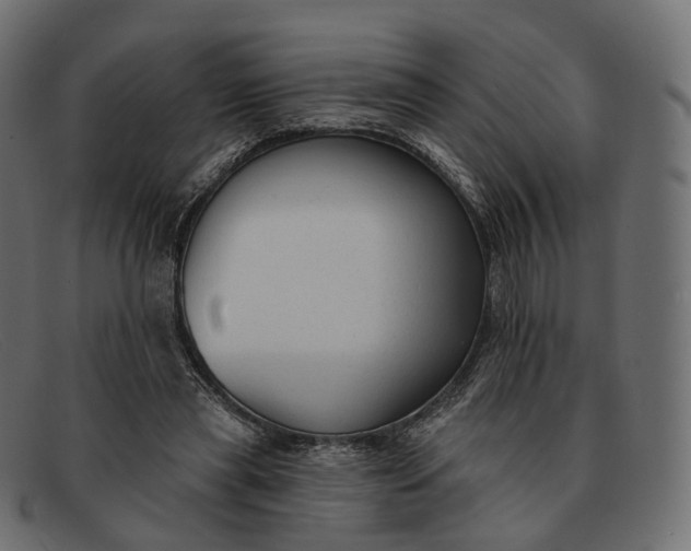 X0000091890445200709191221
