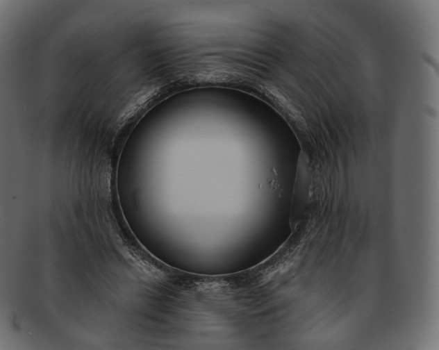 X0000091890446200709191221