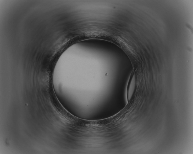 X0000091890448200709191221