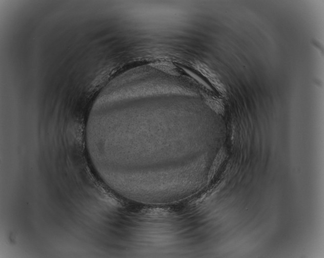 X0000091890449200709191221
