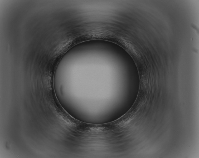 X0000091890450200709191221