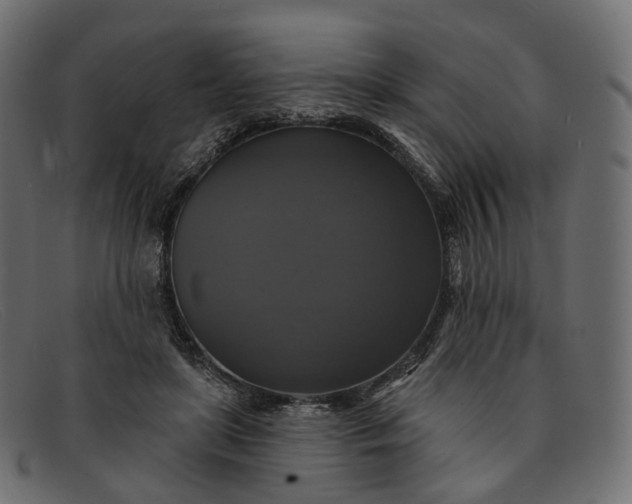 X0000091890451200709191221