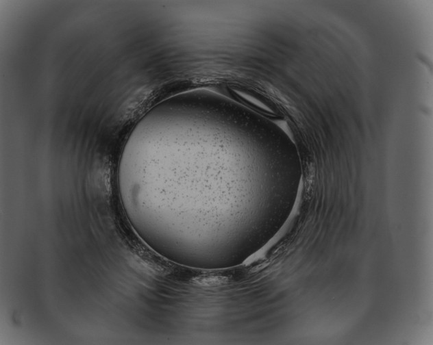 X0000091890452200709191221