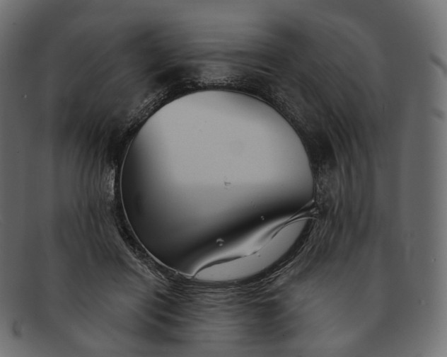 X0000091890454200709191221