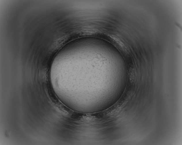 X0000091890455200709191221