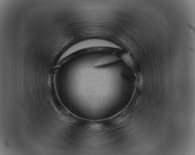 X0000091890456200709191221