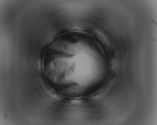 X0000091890457200709191221