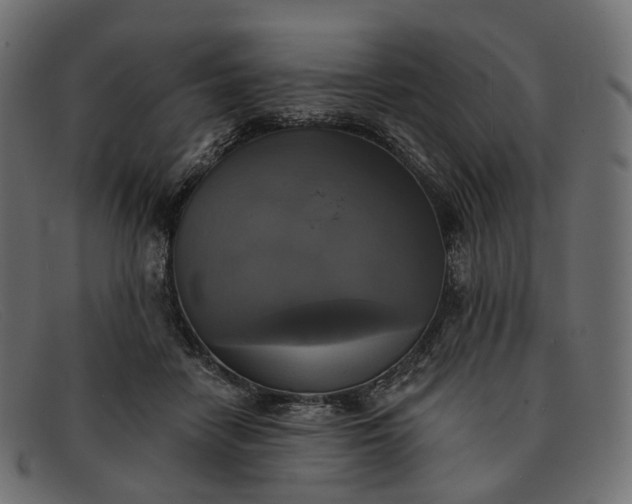 X0000091890458200709191221