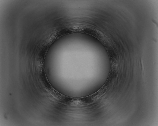 X0000091890460200709191221