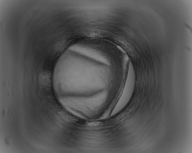 X0000091890461200709191221