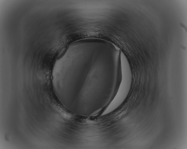 X0000091890462200709191221