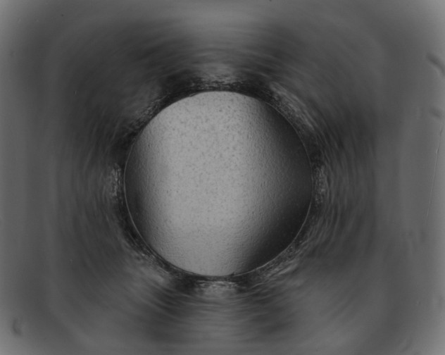 X0000091890463200709191221