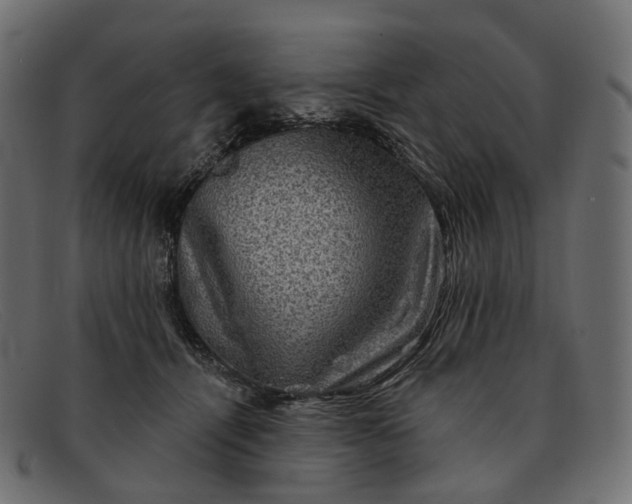 X0000091890464200709191221