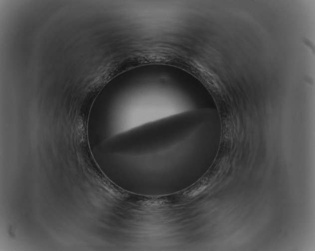 X0000091890465200709191221