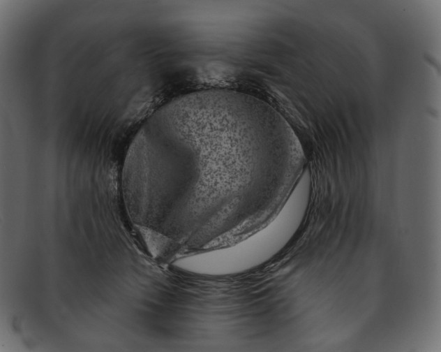 X0000091890466200709191221