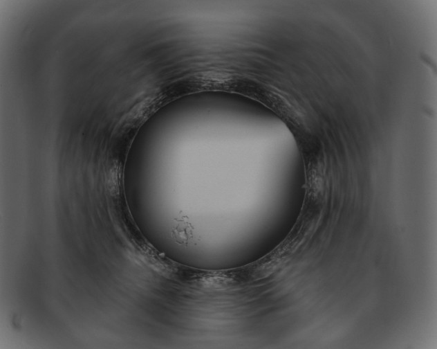 X0000091890468200709191221