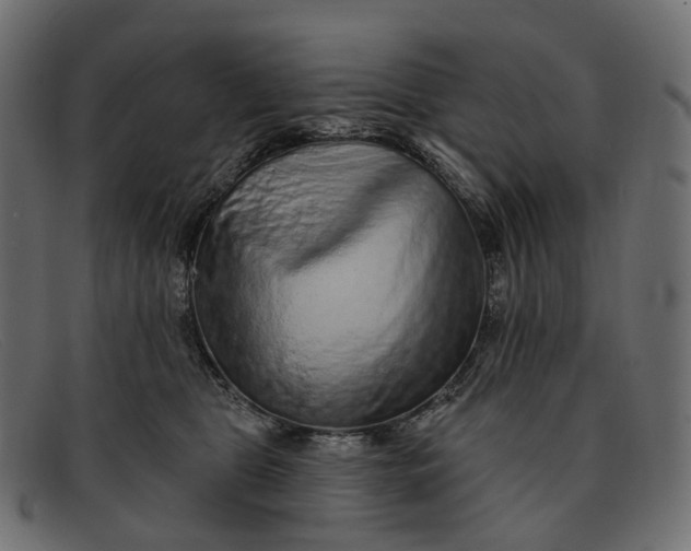 X0000091890469200709191221
