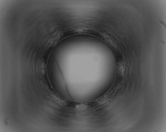 X0000091890470200709191221