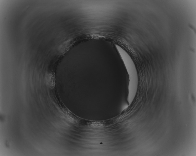 X0000091890471200709191221