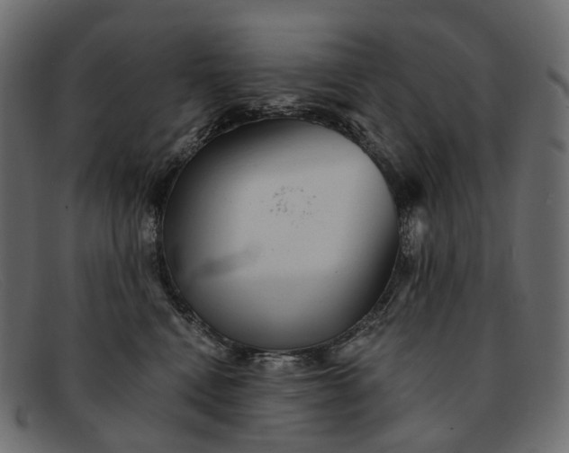 X0000091890472200709191221