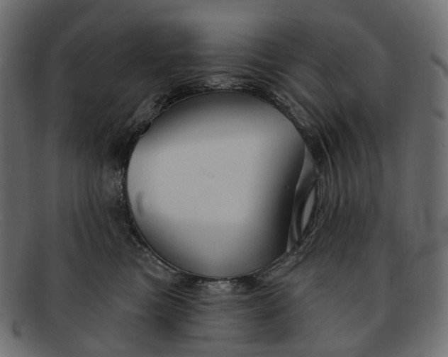 X0000091890473200709191221